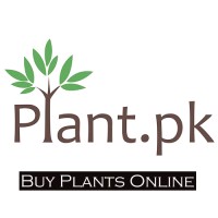 Plant .Pk Pvt Ltd.