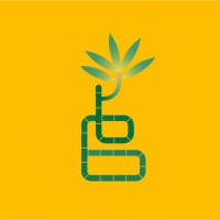 Bamboo Media