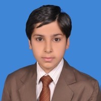 zain ahmed