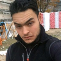 Abdel Majid