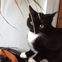 Fleur Barker