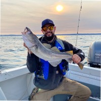 Thomas Wilson, P.Eng.