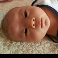 张晓琪