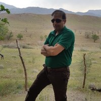 Mohammad Amini