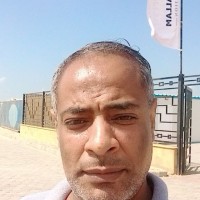 Mahmoud Ali