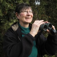 Norah Toth