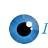 Info Vision Solution