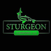 Jonathan Sturgeon