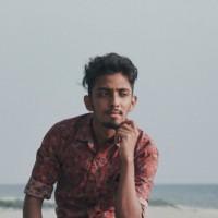 Krithik Krishna