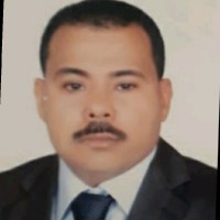 Magdy Wahba Rezkalla Salama