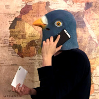 Postmii Bird