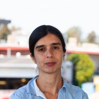 Rita Amaral