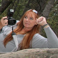 Traci Clark