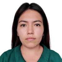 Kelly Vanessa Villanueva Velarde