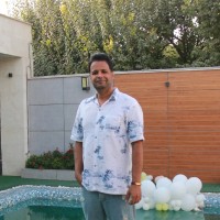 amir feizi