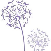 Asterys Srl