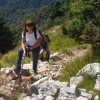 Cinzia Lazzarini