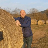 Sergi Guimerà Lacambra