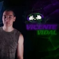 Vicente Vidal
