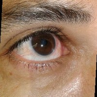 YACINE SACI SEGHIR