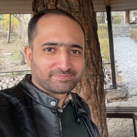 Saeid Molaei
