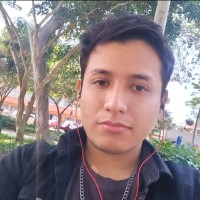 Renzo Mirko Salcedo Vilca