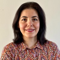 Dilek Kul