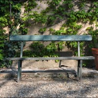 Franck Damatte