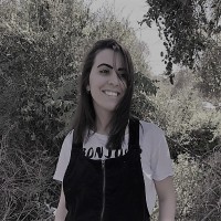 Sapir Fanani Paluli