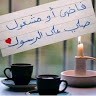 تانيه اعدادي