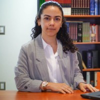 Mariana Hernández Marín