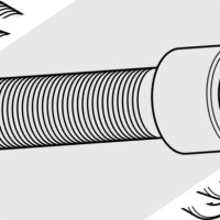Sviatlana Zabela
