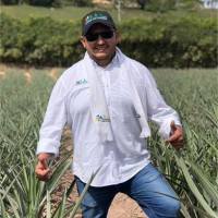 Hernan Rodríguez Cruz