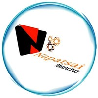 Spark Nopi