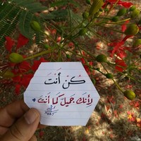 ايمن بلبل