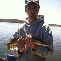 Brandon Koroll