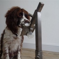 Ken Greenland IEng MIET