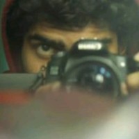 Afshan M