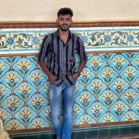 Pavan Kumar L