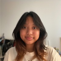 Lily Taroenodikromo