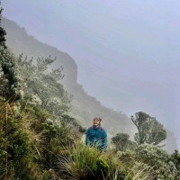 Camilo Montes Chaura