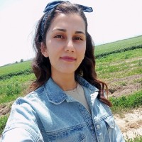 Yasemin Biber