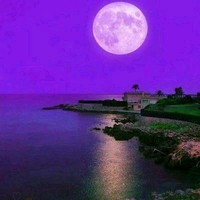 G Islam