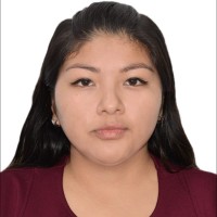 Rosa Giselle Castañeda Condori