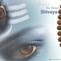 Chiran'Zee'Vi Poudel