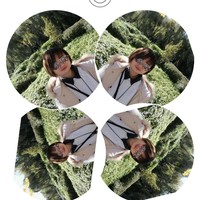 张石英