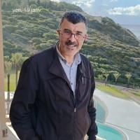 MEHDI DHAOUADI