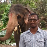 Yathi Yathendra Palakurthi