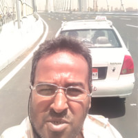 محمود المصرى