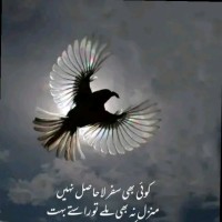Armaan Tahir